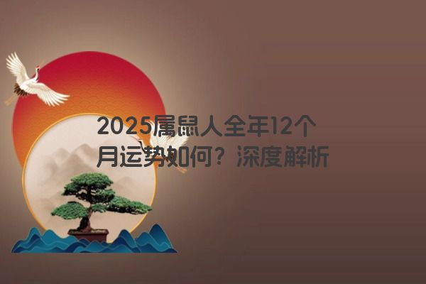 2025属鼠人全年12个月运势如何？深度解析