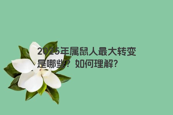 2025年属鼠人最大转变是哪些？如何理解？