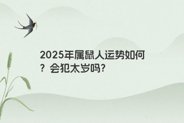 2025年属鼠人运势如何？会犯太岁吗？