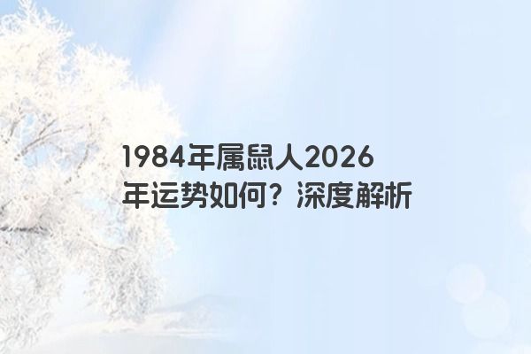 1984年属鼠人2026年运势如何？深度解析