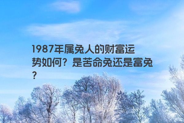 1987年属兔人的财富运势如何？是苦命兔还是富兔？