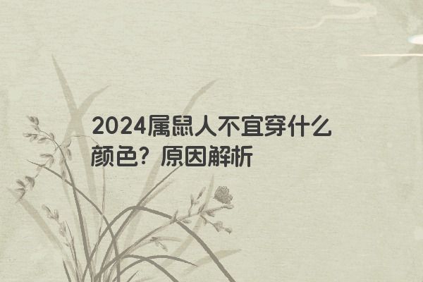 2024属鼠人不宜穿什么颜色？原因解析