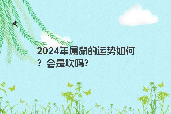 2024年属鼠的运势如何？会是坎吗？