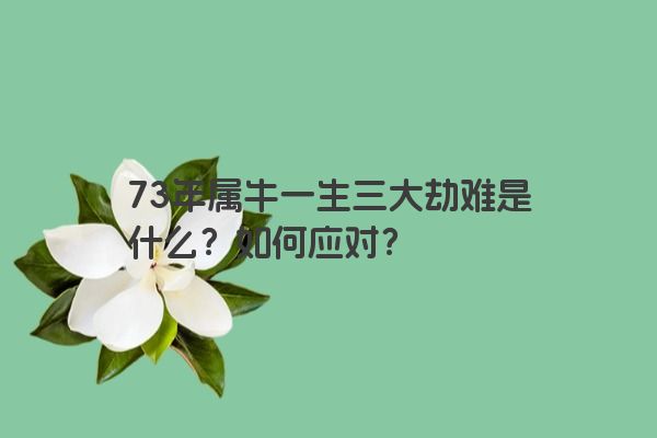 73年属牛一生三大劫难是什么？如何应对？