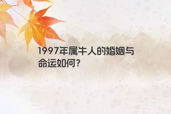 1997年属牛人的婚姻与命运如何？