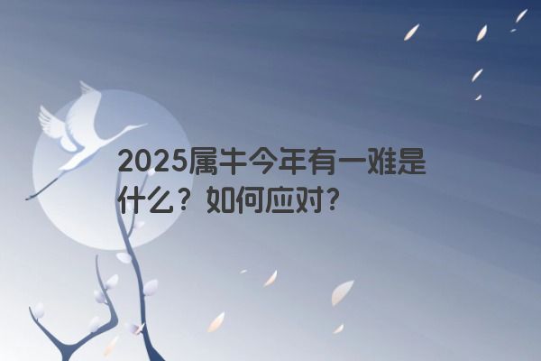 2025属牛今年有一难是什么？如何应对？