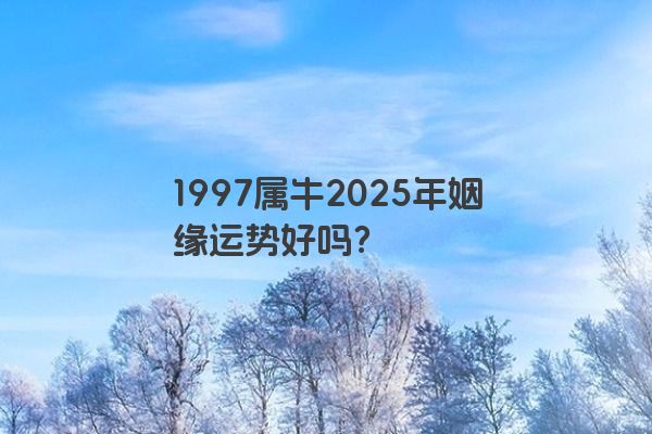 1997属牛2025年姻缘运势好吗？