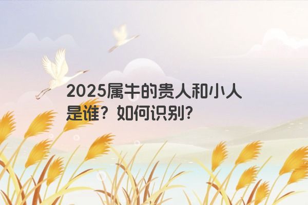 2025属牛的贵人和小人是谁？如何识别？