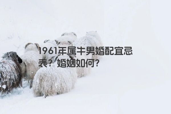 1961年属牛男婚配宜忌表？婚姻如何？