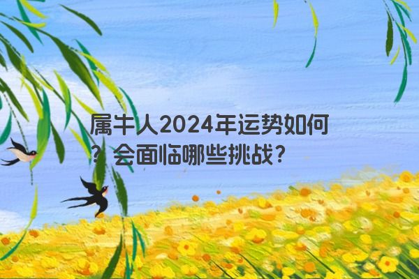 属牛人2024年运势如何？会面临哪些挑战？