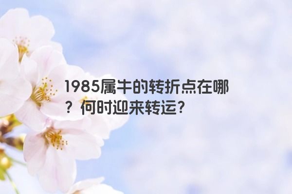 1985属牛的转折点在哪？何时迎来转运？