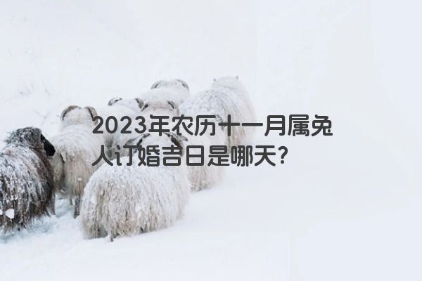 2023年农历十一月属兔人订婚吉日是哪天？