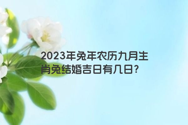 2023年兔年农历九月生肖兔结婚吉日有几日？