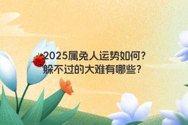 2025属兔人运势如何？躲不过的大难有哪些？
