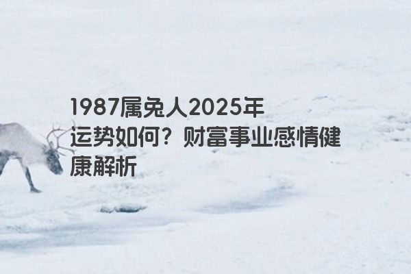 1987属兔人2025年运势如何？财富事业感情健康解析