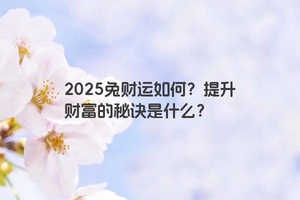 2025兔财运如何？提升财富的秘诀是什么？