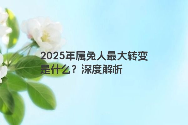 2025年属兔人最大转变是什么？深度解析