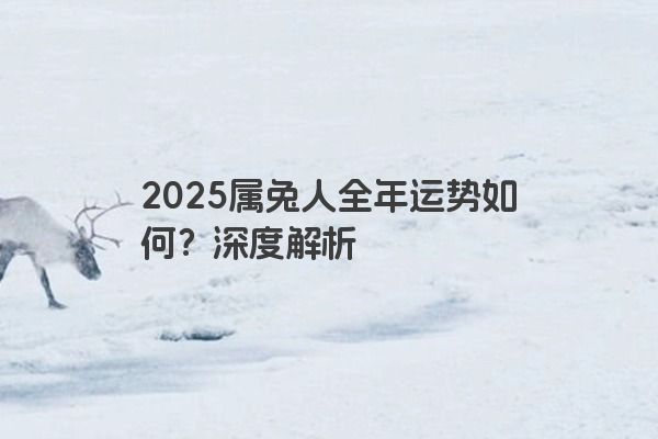 2025属兔人全年运势如何？深度解析