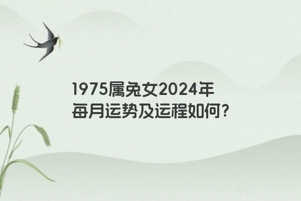 1975属兔女2024年每月运势及运程如何？