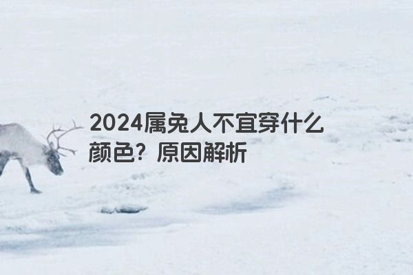 2024属兔人不宜穿什么颜色？原因解析
