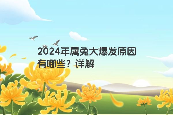 2024年属兔大爆发原因有哪些？详解