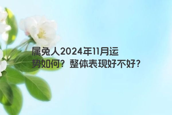 属兔人2024年11月运势如何？整体表现好不好？