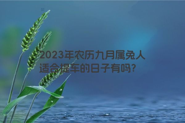 2023年农历九月属兔人适合提车的日子有吗？
