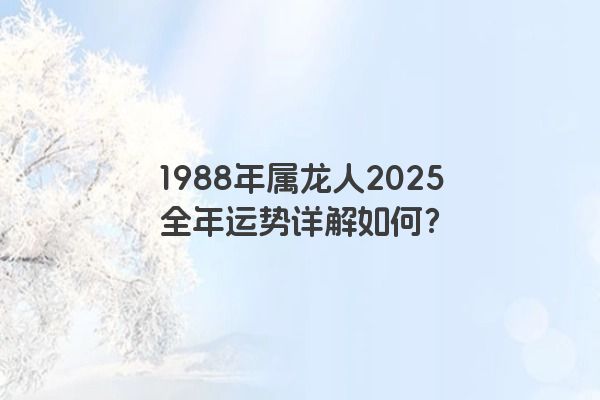 1988年属龙人2025全年运势详解如何？