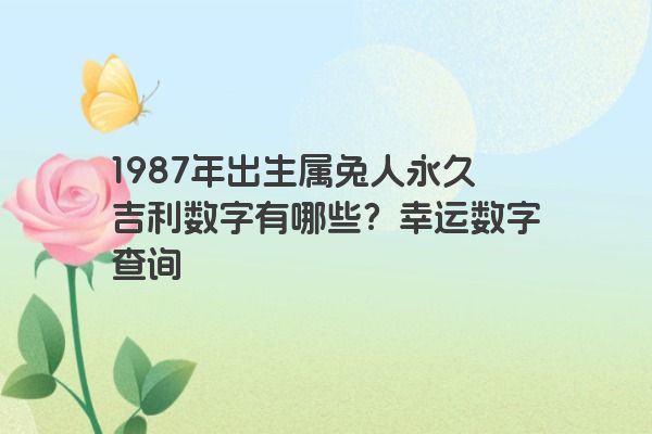 1987年出生属兔人永久吉利数字有哪些？幸运数字查询