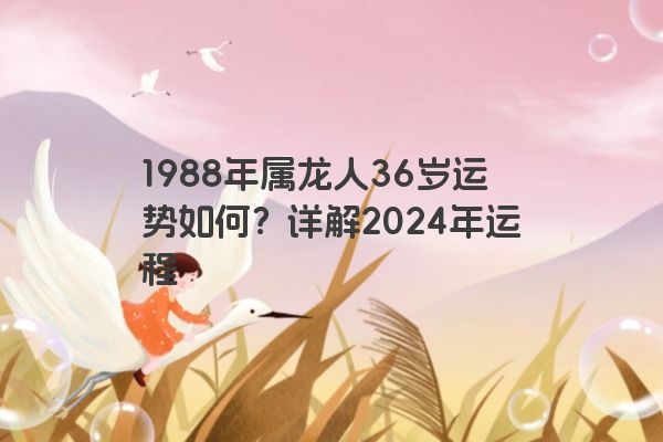 1988年属龙人36岁运势如何？详解2024年运程