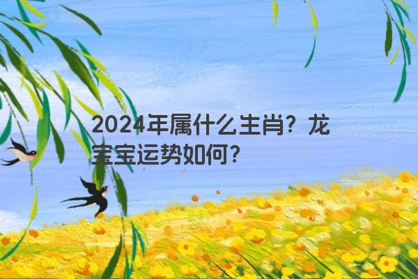 2024年属什么生肖？龙宝宝运势如何？