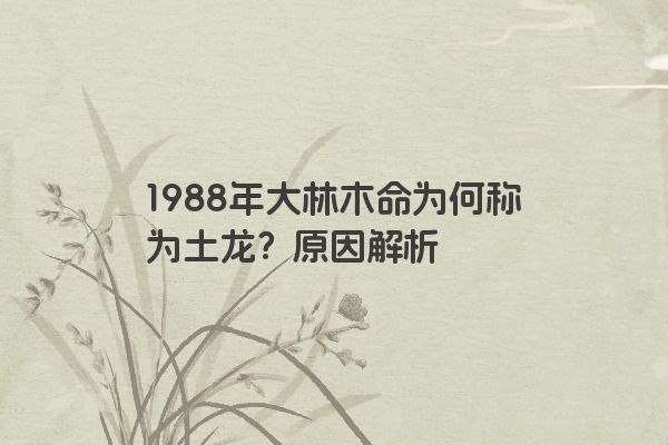 1988年大林木命为何称为土龙？原因解析