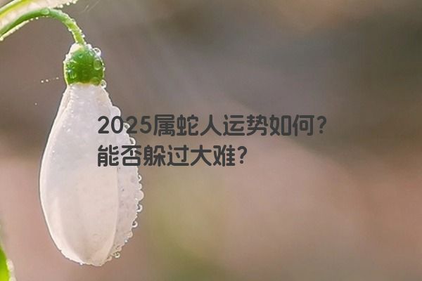 2025属蛇人运势如何？能否躲过大难？