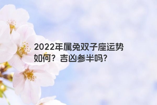 2022年属兔双子座运势如何？吉凶参半吗？