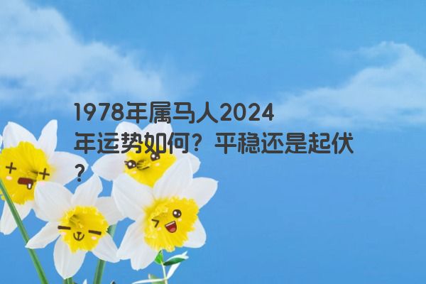 1978年属马人2024年运势如何？平稳还是起伏？