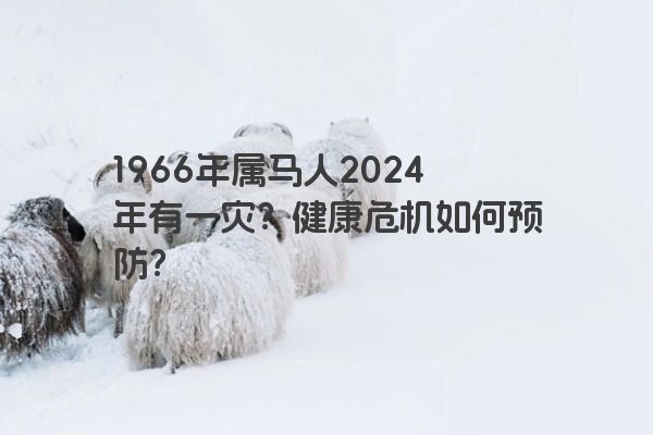 1966年属马人2024年有一灾？健康危机如何预防？