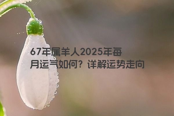 67年属羊人2025年每月运气如何？详解运势走向