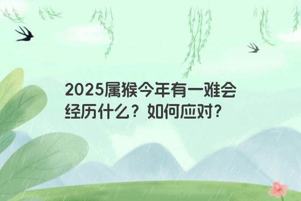 2025属猴今年有一难会经历什么？如何应对？