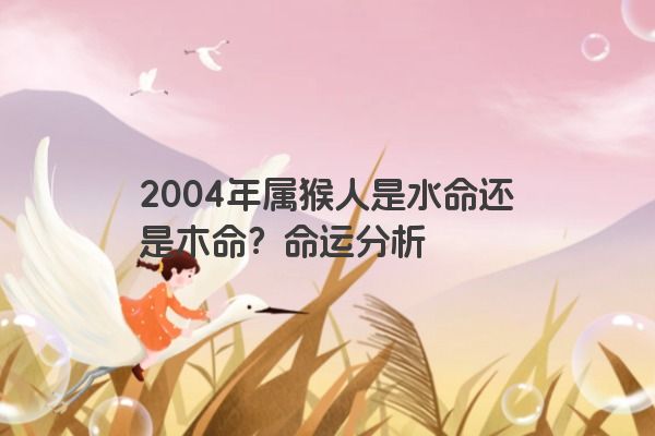 2004年属猴人是水命还是木命？命运分析