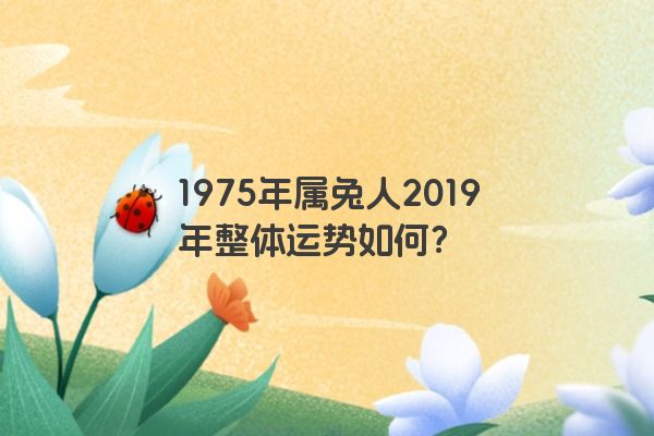 1975年属兔的人2019年运势大全及破解