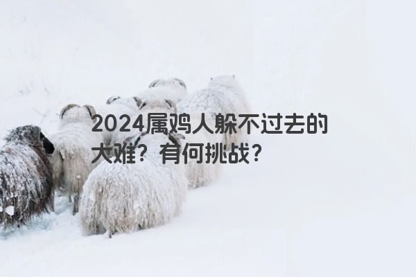 2024属鸡人躲不过去的大难？有何挑战？