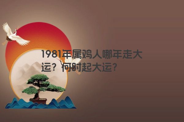 1981年属鸡人哪年走大运？何时起大运？