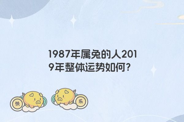 1987年属兔的人2019年整体运势如何？