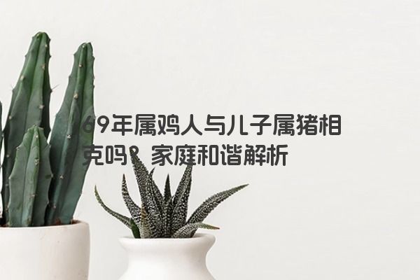 69年属鸡人与儿子属猪相克吗？家庭和谐解析