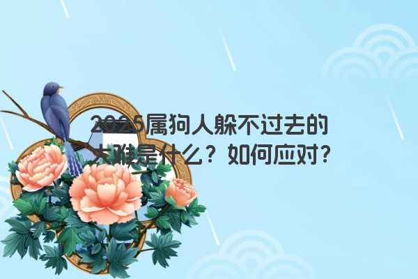 2025属狗人躲不过去的大难是什么？如何应对？
