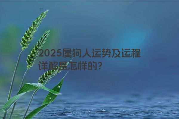 2025属狗人运势及运程详解是怎样的？