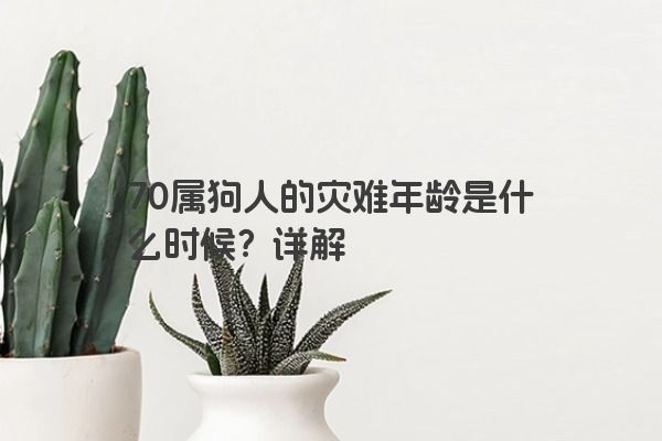 70属狗人的灾难年龄是什么时候？详解