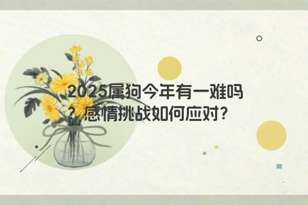 2025属狗今年有一难吗？感情挑战如何应对？