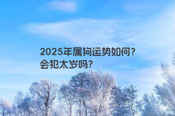 2025年属狗运势如何？会犯太岁吗？