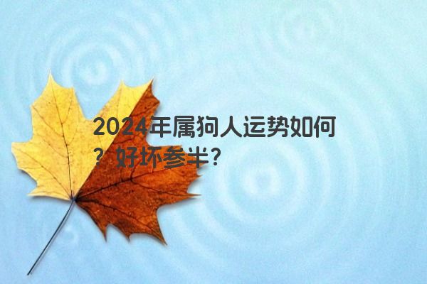 2024年属狗人运势如何？好坏参半？